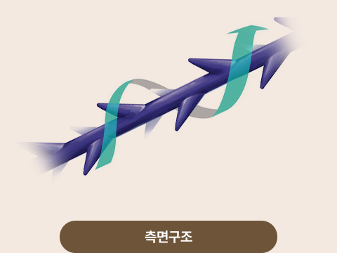 측면구조