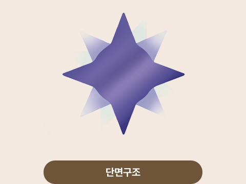 단면구조